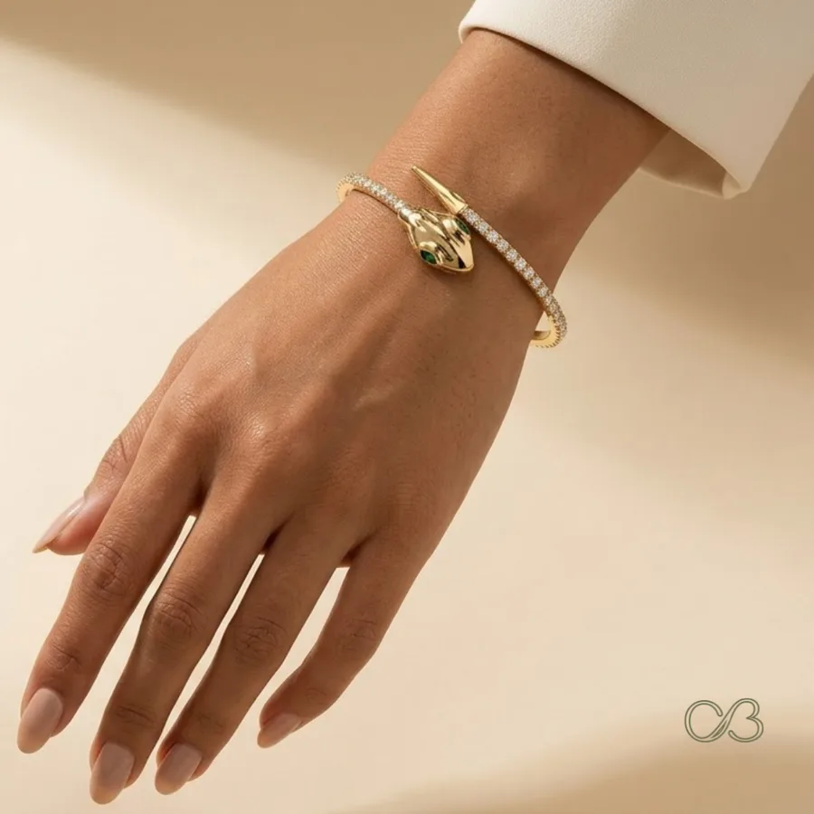 Ornabling bracelet campaign creative
